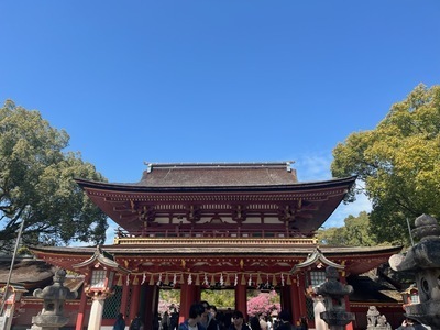 532B55BF-6A0F-4597-A1D4-987C6B69B107.jpeg