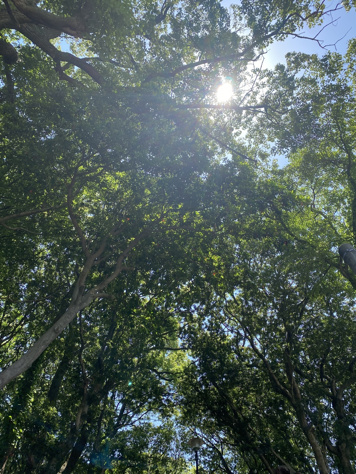 66B8025B-D1B2-4D12-B55B-3FC3E923A8AF.jpeg