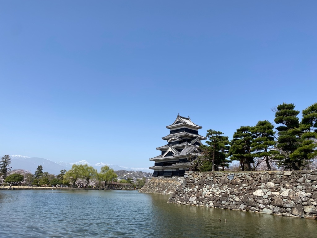 954C4506-E08F-4C30-AFF7-A0B084B7A727.jpeg