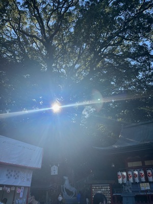B0037435-23E1-4765-B634-7B358FC38116.jpeg